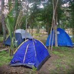 Camping da Vila Pagã